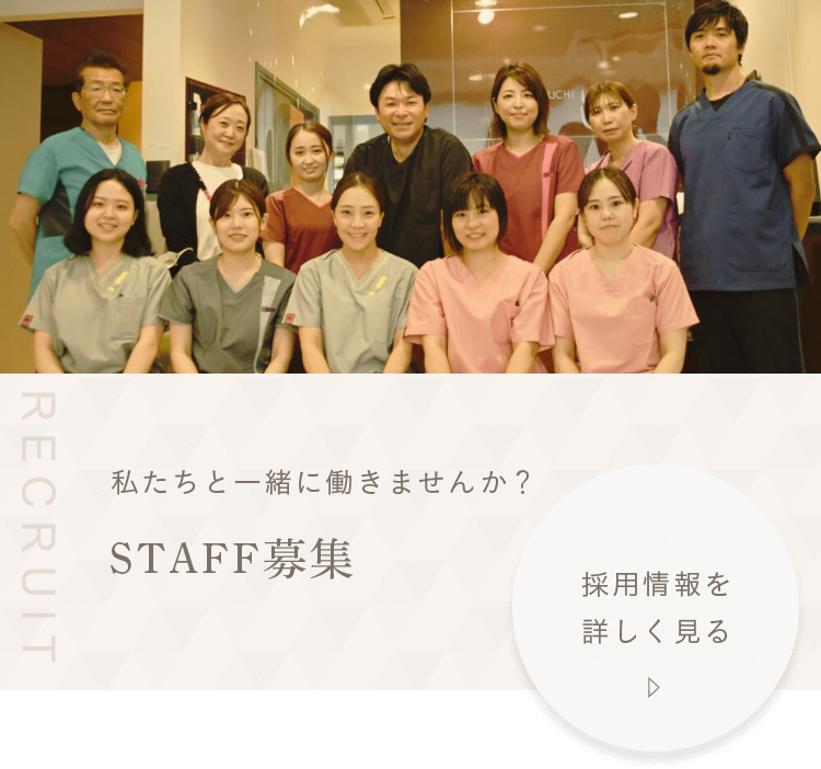 私たちと一緒に働きませんか？STAFF募集